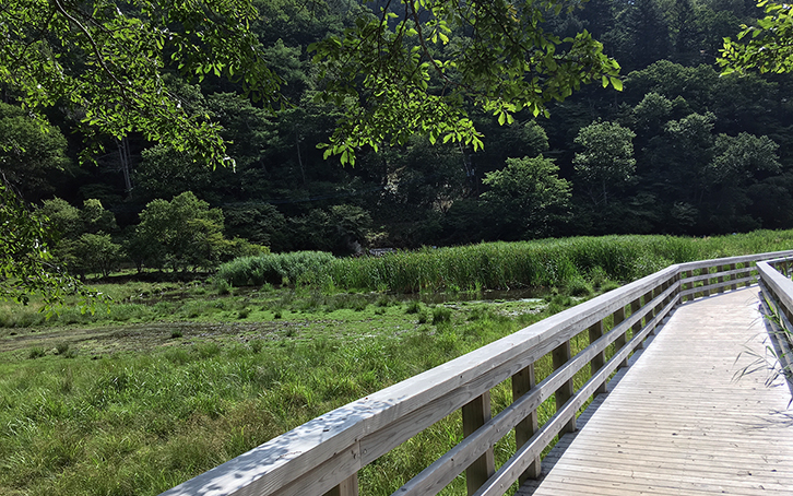 Wooden walk at Nikko